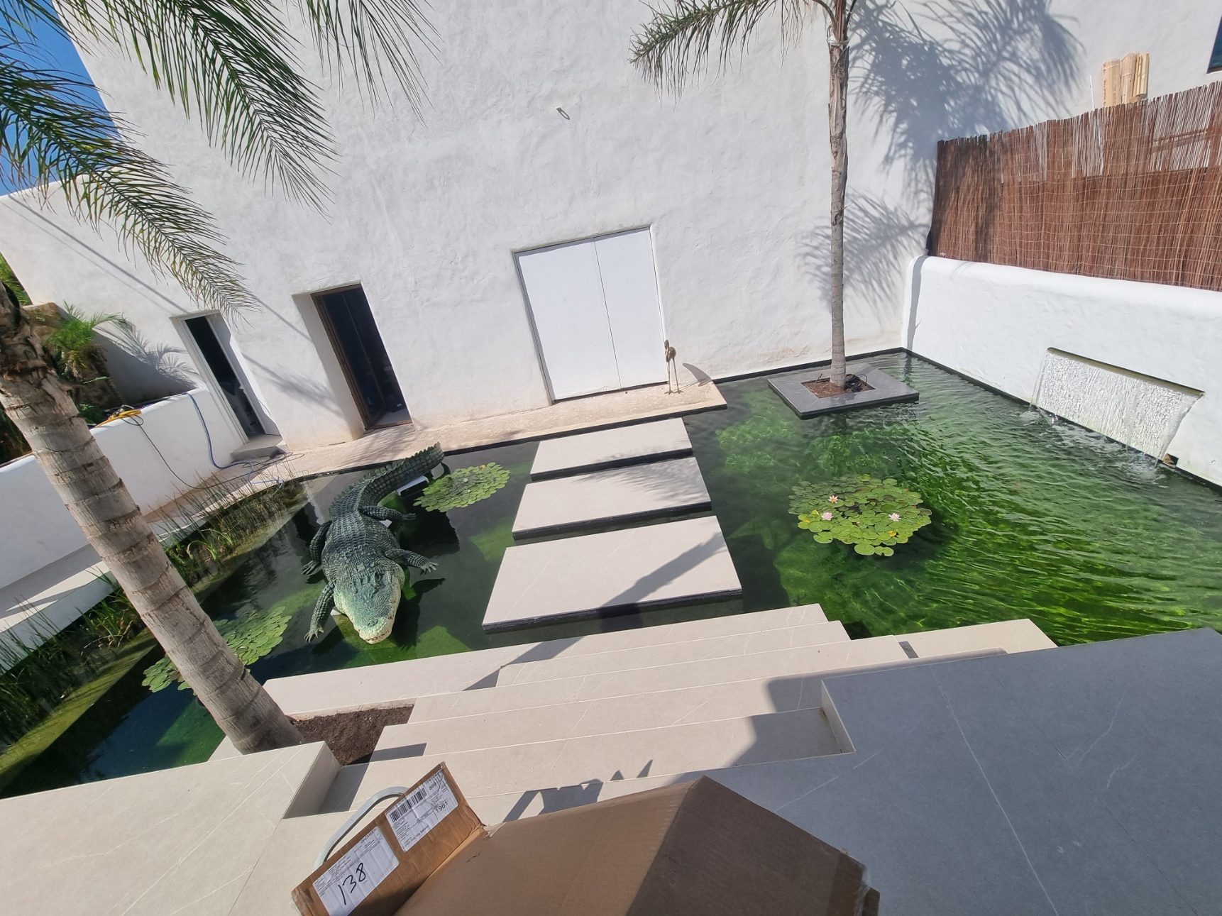 Estanque entrada vivienda con cocodrilo